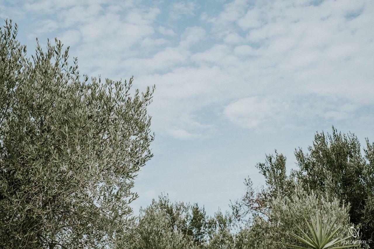 B&B Tenuta La Cornula San Donato di Lecce Kültér fotó